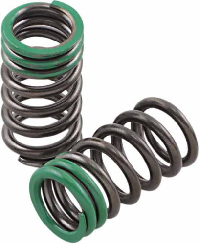 Xceldyne - Xceldyne Exhaust Valve Springs - PSIMX2103