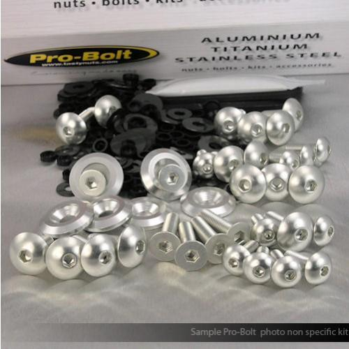 Pro Bolt - Pro Bolt Fairing Aluminum Bolt Kit - Silver - FYA283-S