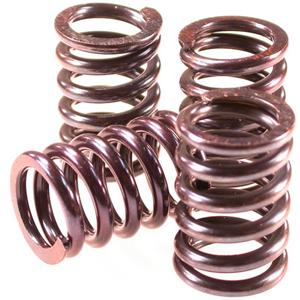 Barnett - Barnett Clutch Spring Kit - 501-50-05116