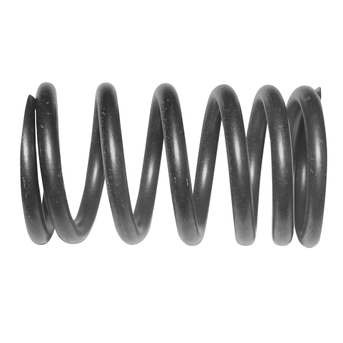 WSM - WSM Outer Valve Spring - 010-030