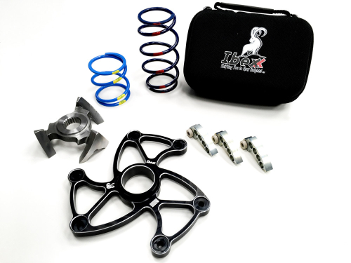 Ibexx - Ibexx Stage 2 Clutch Kit - 12752-01