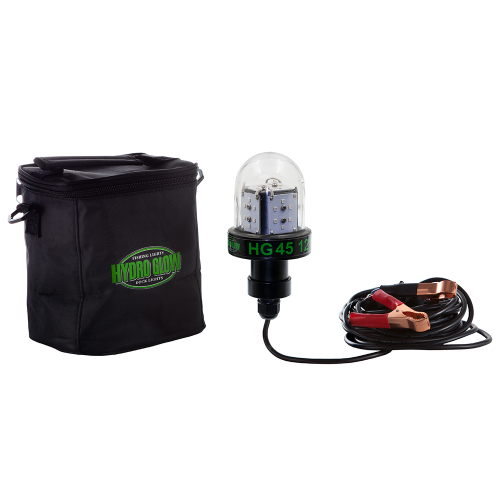 Hydro Glow - Hydro Glow HG45 45W/12V Deep Water LED Fish Light - Green Globe Style