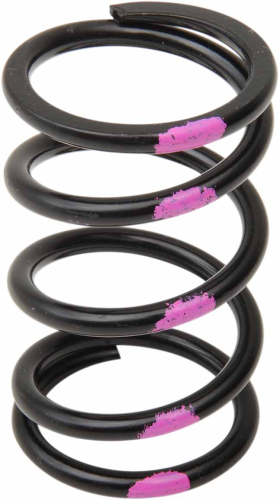Starting Line Products - Starting Line Products Logical High Performance Drive Clutch Spring - Black/Pink - 40-75