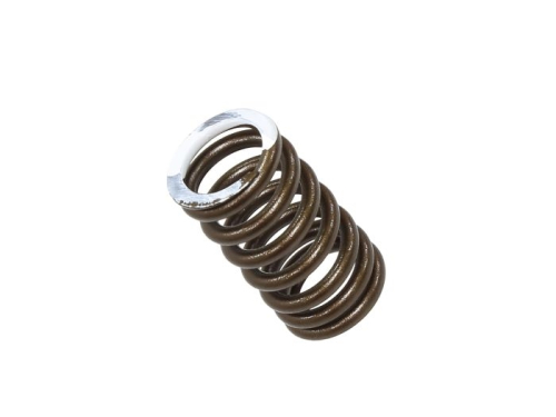 Psychic MX - Psychic MX Exhaust Valve Spring - XU-09560ES