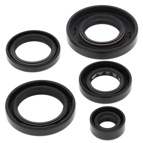 Vertex - Vertex Oil Seal Kit - 822343
