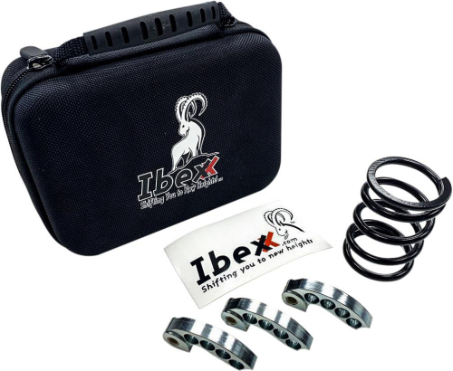 Ibexx - Ibexx AXYS 800 Clutch Kit - 11796-1