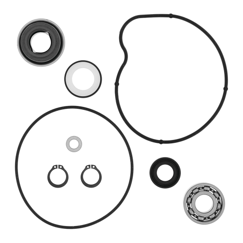 QuadBoss - QuadBoss Water Pump Rebuild Kit - 821852QB
