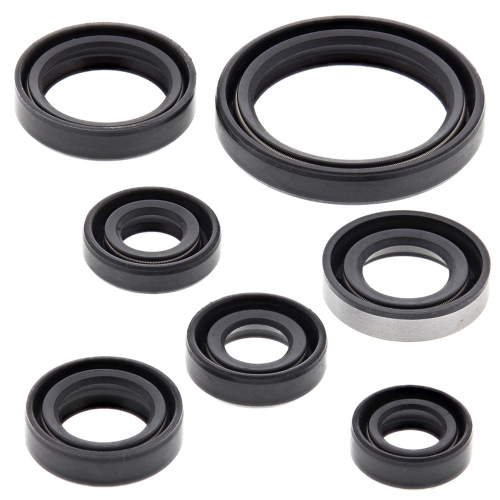 Vertex - Vertex Oil Seal Kit - 822193
