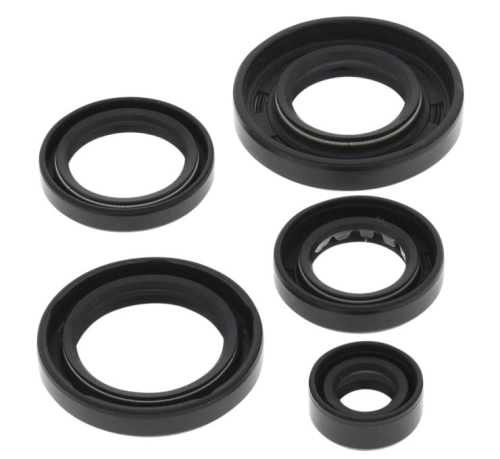 QuadBoss - QuadBoss Oil Seal Set - 822343QB