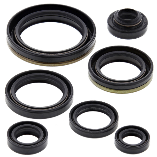 Vertex - Vertex Oil Seal Kit - 822127