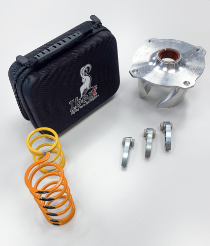 Ibexx - Ibexx Stage 2 Clutch Kit - 12732-01