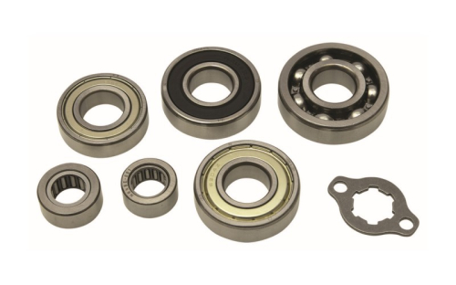 Hot Rods - Hot Rods Counter Balancer Bearing Kit - HR00138