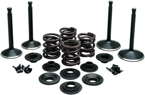 Twin Power - Twin Power Engine Kit - 481261