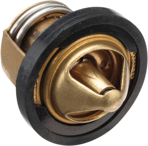 Moose Utility - Moose Utility Polaris Thermostat - 1902-1378