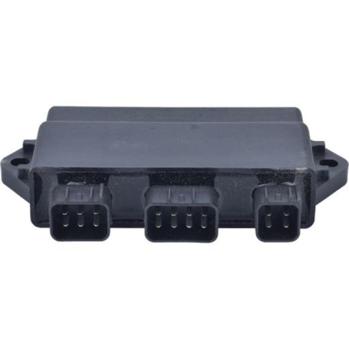 Wild Boar - Wild Boar CDI Box - 160-02062