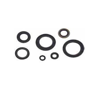 Winderosa - Winderosa Crankcase Oil Seal Kit - 55102