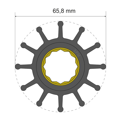 Albin Pump Marine - Albin Pump Premium Impeller Kit 65.8 x 25 x 80mm - 12 Blade - Spline Insert