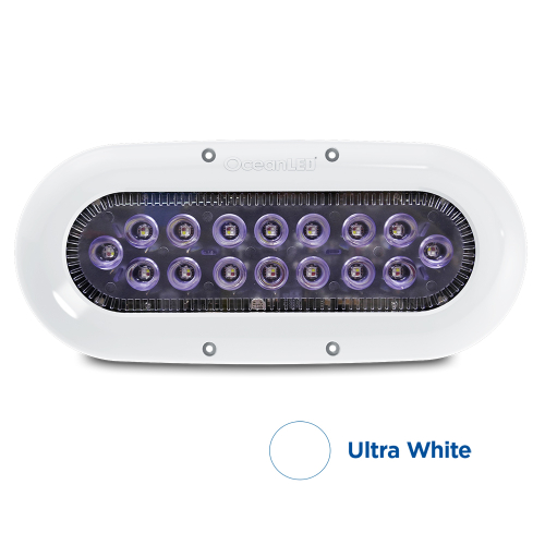 OceanLED - OceanLED X-Series X16 - White LEDs