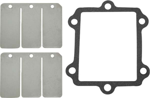 SP1 - SP1 Reed Valve Rebuild Kit - SM-07153C
