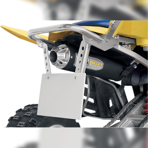 DG Performance - DG Performance National Series Grab Rail - Aluminum - 593-6140