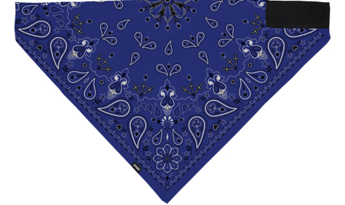 Zan Headgear - Zan Headgear Sportflex Series Bandana - BL111 - Navy Paisley - OSFM