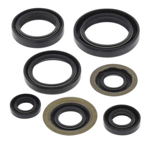 QuadBoss - QuadBoss Oil Seal Set - 822260QB