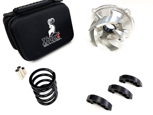 Ibexx - Ibexx AXYS 850 Clutch Kit - 11791-2