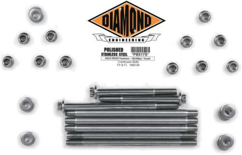 Diamond Engineering - Diamond Engineering Crankcase12-Point Polished Stainless Engine Bolt KIt - PB517S