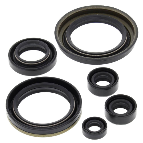 Vertex - Vertex Oil Seal Kit - 822280