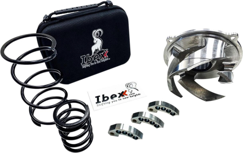 Ibexx - Ibexx AXYS 800 Clutch Kit - 11796-2