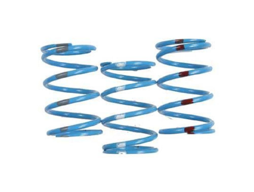 Team - Team Yamaha Steel Primary Clutch Spring - Blue with Orange Stripe - 210220-005