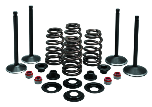Twin Power - Twin Power Engine Kit - 481271