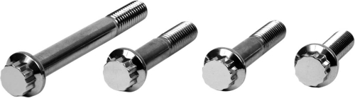 Diamond Engineering - Diamond Engineering Front Caliper Mount 12-Point Polished Stainless Individual Brake Bolt Kit - PB555S