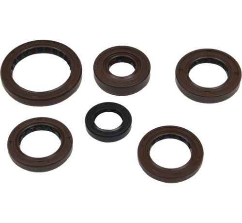 QuadBoss - QuadBoss Oil Seal Set - 822376QB