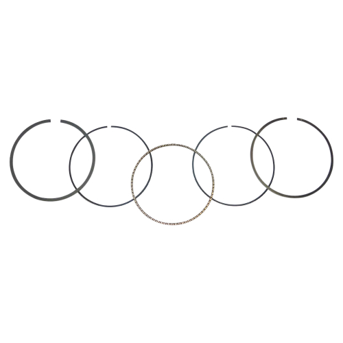 WSM - WSM Piston Ring Set - 77.00mm Bore - 51-255-07