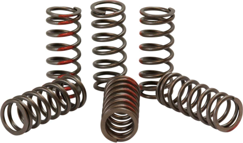 Pro Circuit - Pro Circuit Clutch Springs - CST12350