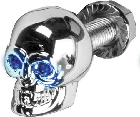 HardDrive - HardDrive Lighted Skull License Plate Screws - Blue - H040079