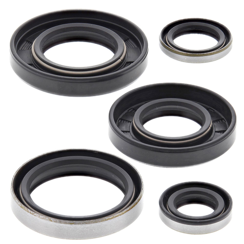 Vertex - Vertex Oil Seal Kit - 822129