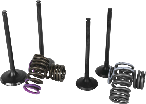 Wiseco - Wiseco Garage Buddy Valve Set - SVKB6327