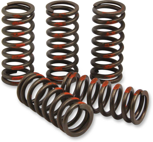 Pro Circuit - Pro Circuit Clutch Springs - CST13085