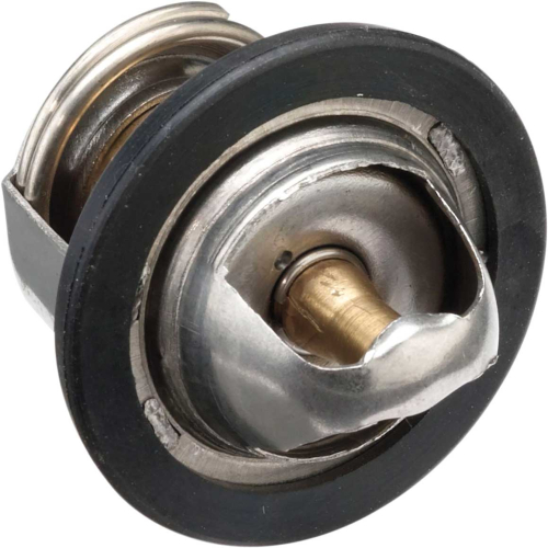 Moose Utility - Moose Utility Polaris Thermostat - 1902-1382
