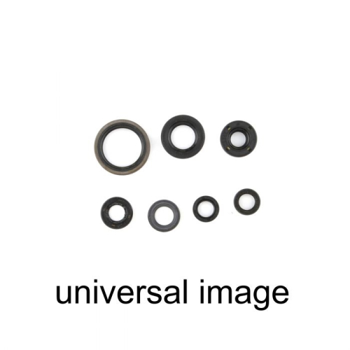 Cometic Gasket - Cometic Gasket Oil Seal Kit - C7825OS