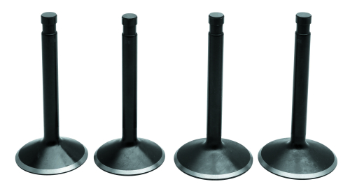 Twin Power - Twin Power Valve Kit - T20-20955