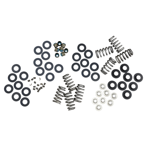 Feuling - Feuling Valve Springs with Titanium Retainers for M-Eight - 1207