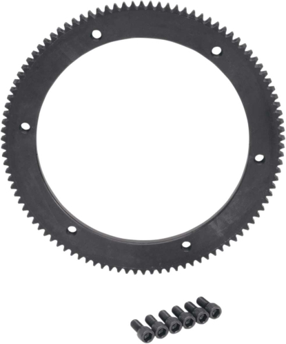Drag Specialties - Drag Specialties OEM-Replacement Starter Ring Gear - 102T - 148163