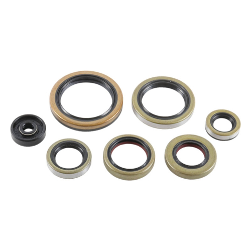 Vertex - Vertex Oil Seal Kit - 822976