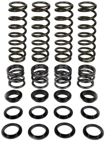 Zbroz Racing - Zbroz Racing Dual Rate Spring Kit - K25-PL1008-0