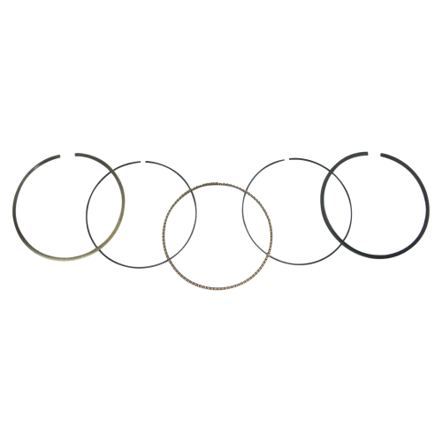 WSM - WSM Piston Ring Set - 100.50mm Bore - 51-544-05