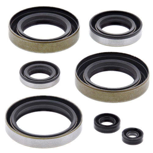 Vertex - Vertex Oil Seal Kit - 822102