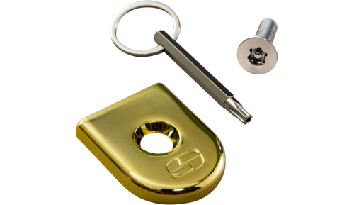 Saddlemen - Saddlemen Security Seat Screws - Gold - 8910GO